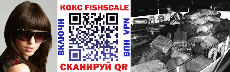 купить закладку  Михайлов  Cocaine FishScale 