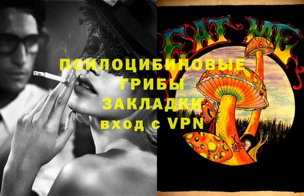 ПСИЛОЦИБИНОВЫЕ ГРИБЫ Вяземский
