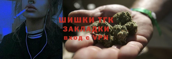 ПСИЛОЦИБИНОВЫЕ ГРИБЫ Вяземский