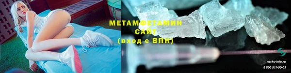ПСИЛОЦИБИНОВЫЕ ГРИБЫ Вяземский