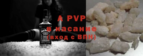 ПСИЛОЦИБИНОВЫЕ ГРИБЫ Вяземский