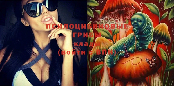 тгк Вязьма