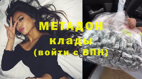 ПСИЛОЦИБИНОВЫЕ ГРИБЫ Вяземский